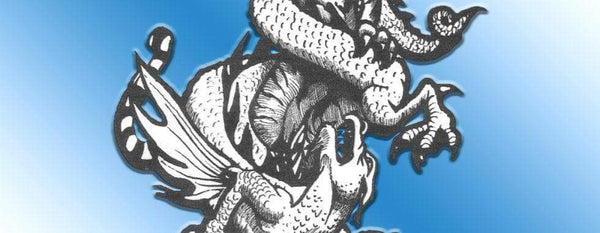 IBFDA US KUO SHU CHAMPIONSHIP – MAY 11TH, 2019